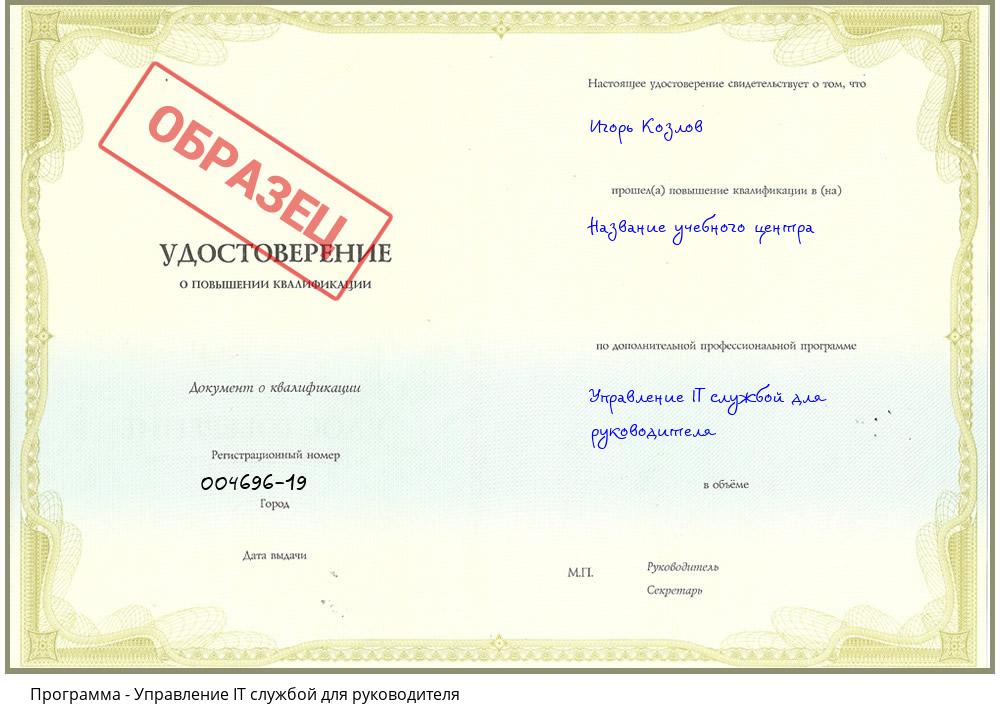 Управление IT службой для руководителя Железногорск (Красноярский край)