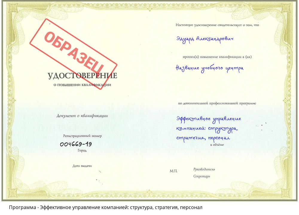 Эффективное управление компанией: структура, стратегия, персонал Железногорск (Красноярский край)