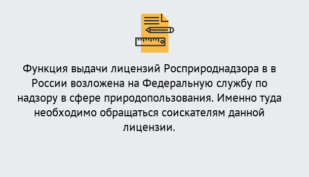 Почему нужно обратиться к нам? Железногорск (Красноярский край) Лицензия Росприроднадзора. Под ключ! в Железногорск (Красноярский край)