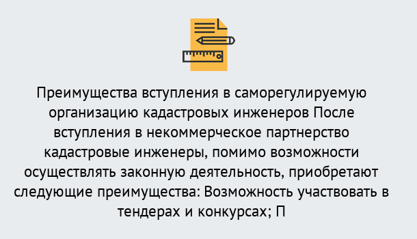 Почему нужно обратиться к нам? Железногорск (Красноярский край) Что дает допуск СРО кадастровых инженеров?