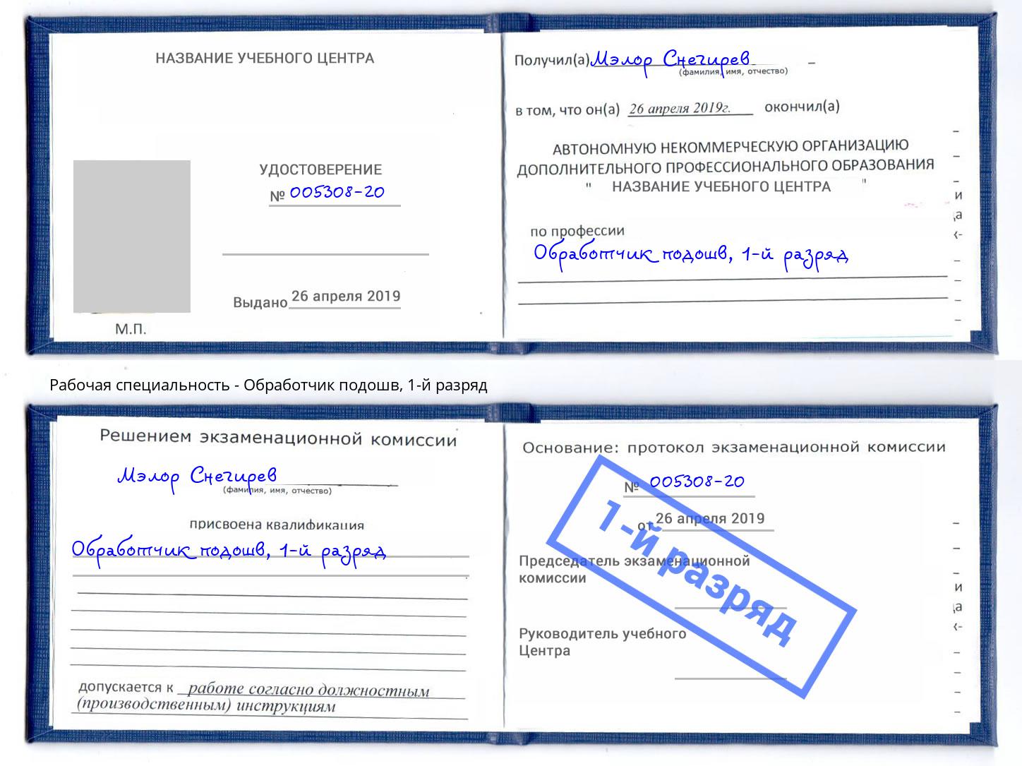 корочка 1-й разряд Обработчик подошв Железногорск (Красноярский край)