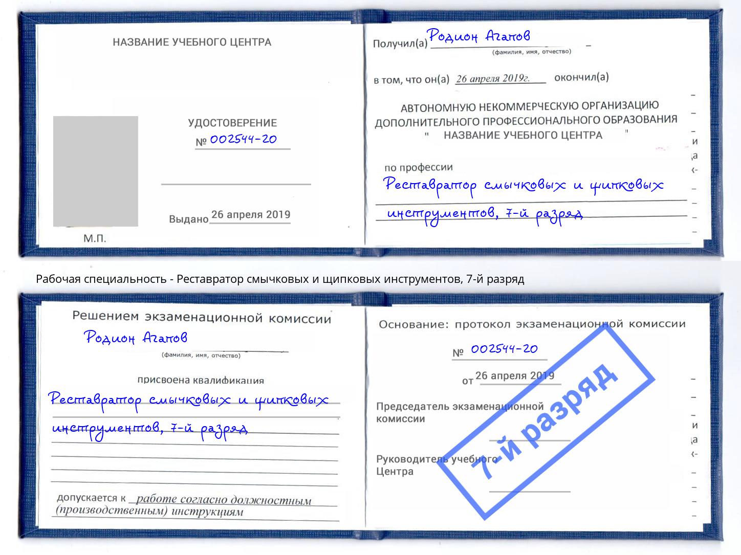 корочка 7-й разряд Реставратор смычковых и щипковых инструментов Железногорск (Красноярский край)