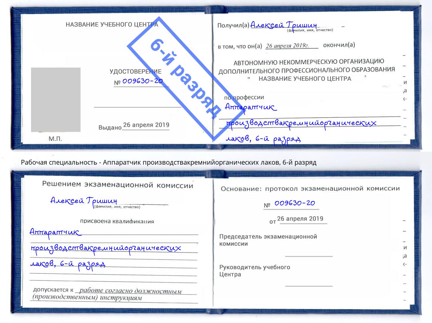 корочка 6-й разряд Аппаратчик производствакремнийорганических лаков Железногорск (Красноярский край)