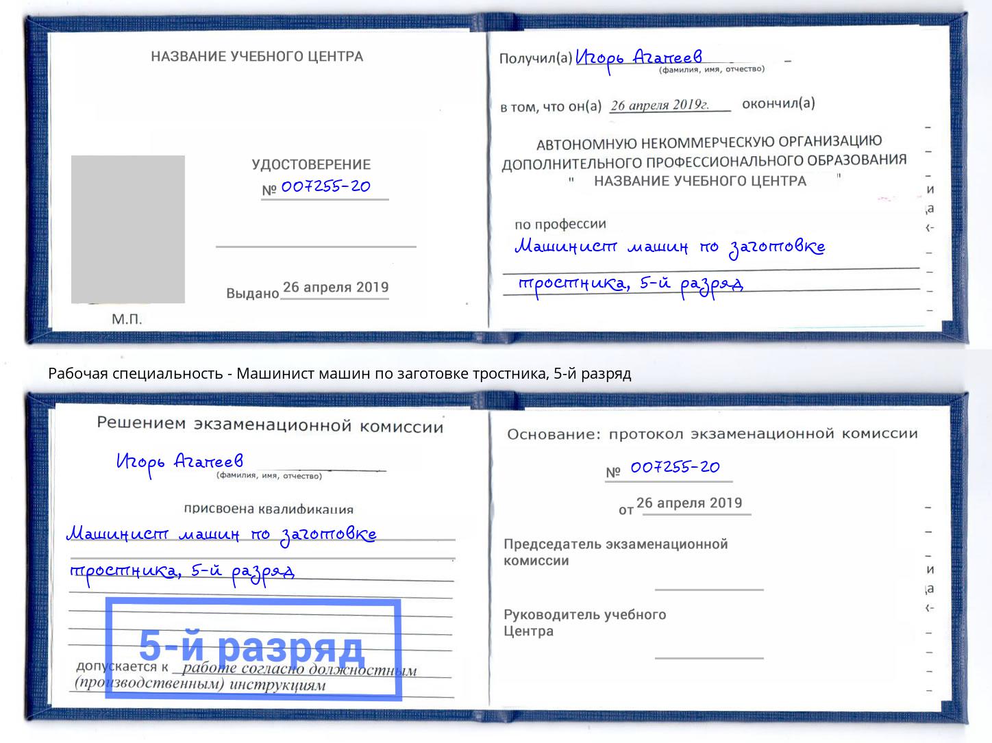 корочка 5-й разряд Машинист машин по заготовке тростника Железногорск (Красноярский край)